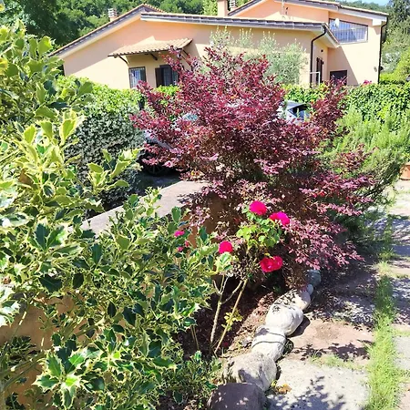 Sandra Holiday home *